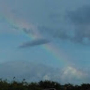 Meet your Posher, Christi